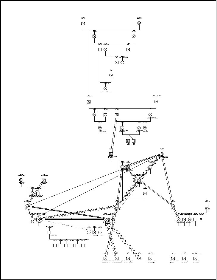 Einstein-Maric Genogram Snapshot
